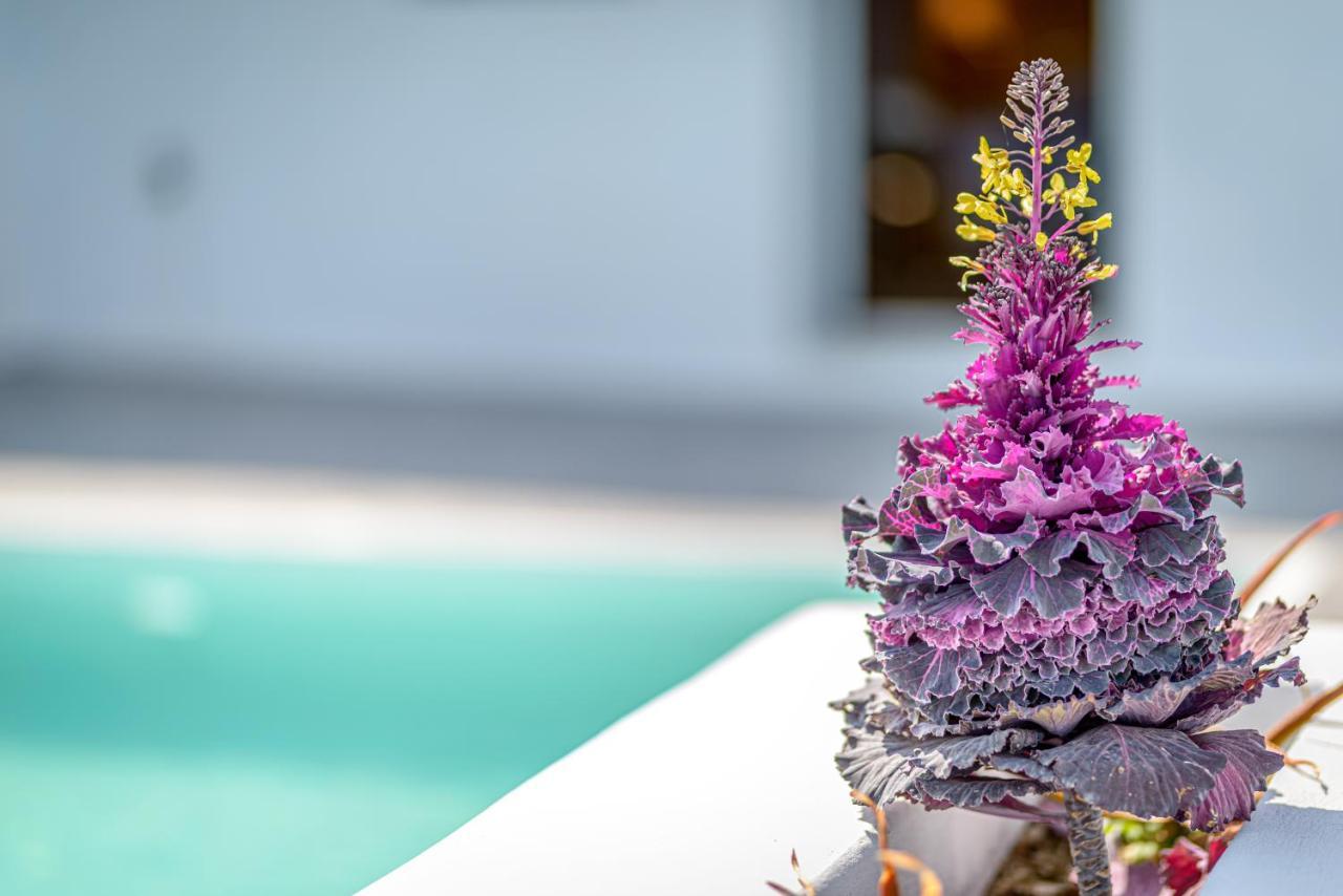 Siete Mares Luxury Suites Imerovigli  Dış mekan fotoğraf
